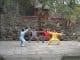 des chinois font du kung fu près d'un temple